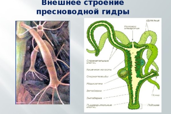 Маркетплейс кракен купить