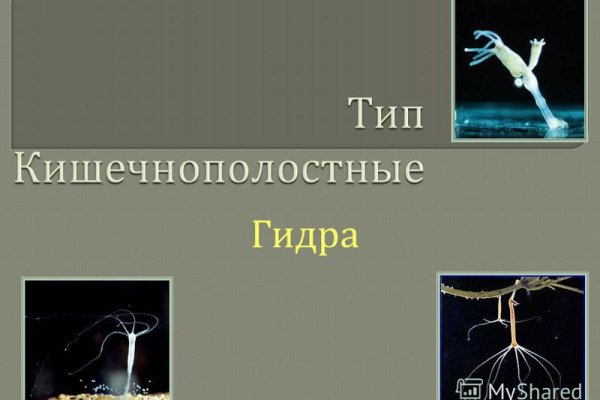 Кракен маркетплейс это