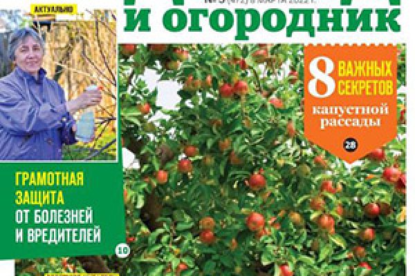 Кракен шоп интернет